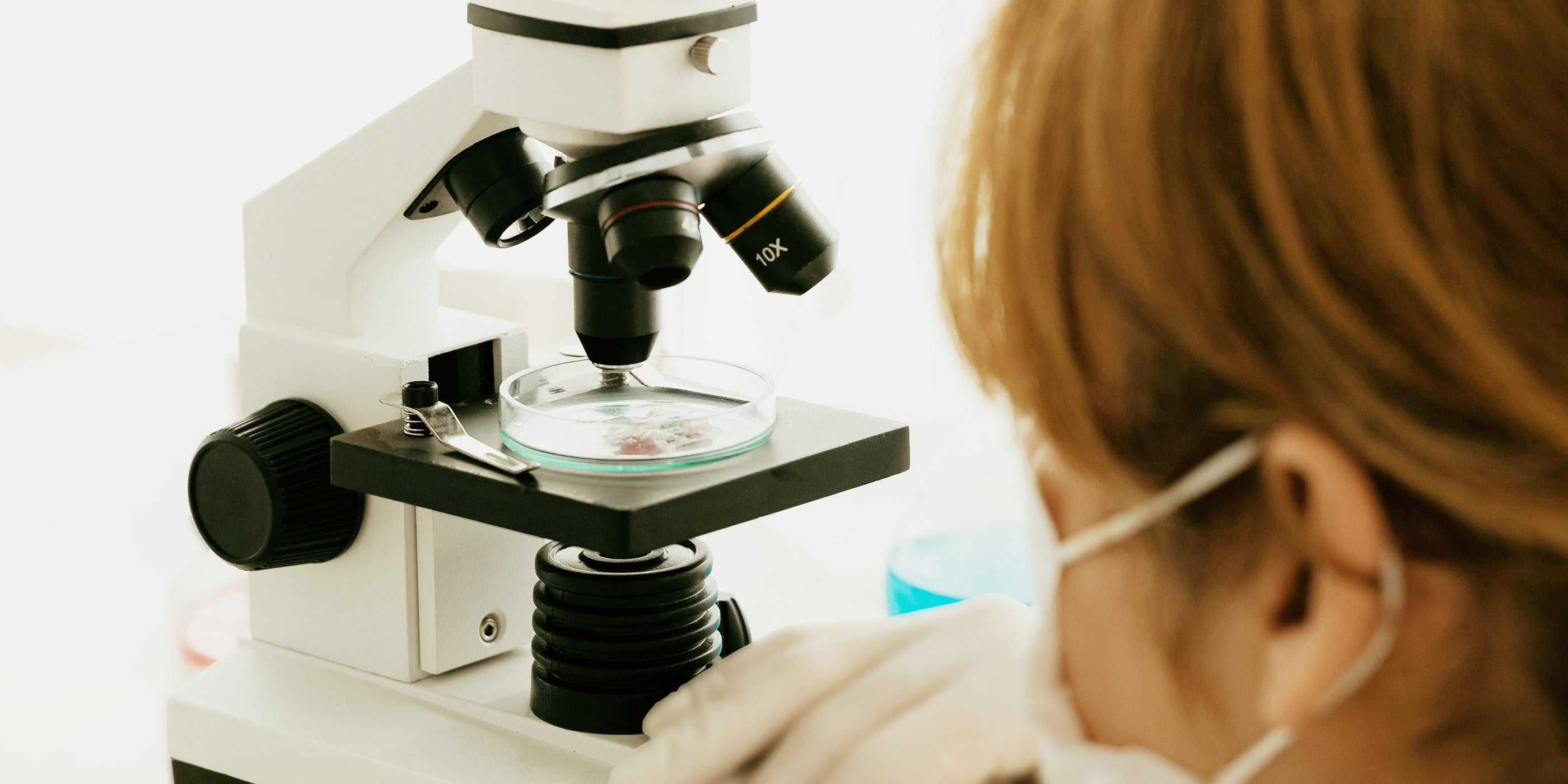 Detailaufnahme Laboruntersuchung